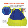 Chill-its 6668 Class 2 Hi-vis Safety Cooling Vest, Polymer, Small, Lime Chill-its 6668 Class 2 Hi-vis Safety Cooling Vest, Polymer, Small, Lime