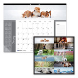 Pets Collection Monthly Desk Pad, Furry Kittens Photography, 22 X 17, White Sheets, Black Binding, 12-month (jan-dec): 2025