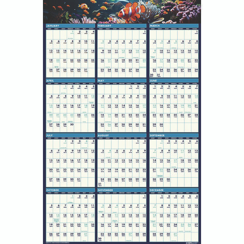 Earthscapes Recycled Reversible/erasable Yearly Wall Calendar, Sea Life Photos, 24 X 37, White Sheets, 12-month(jan-dec):2025 Earthscapes Recycled Reversible/erasable Yearly Wall Calendar, Sea Life Photos, 24 X 37, White Sheets, 12-month(jan-dec):2025