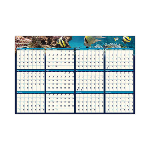 Earthscapes Recycled Reversible/erasable Yearly Wall Calendar, Sea Life Photos, 24 X 37, White Sheets, 12-month(jan-dec):2025 Earthscapes Recycled Reversible/erasable Yearly Wall Calendar, Sea Life Photos, 24 X 37, White Sheets, 12-month(jan-dec):2025