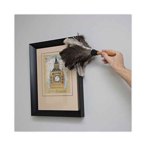 Professional Ostrich Feather Duster, 7" Handle Professional Ostrich Feather Duster, 7" Handle