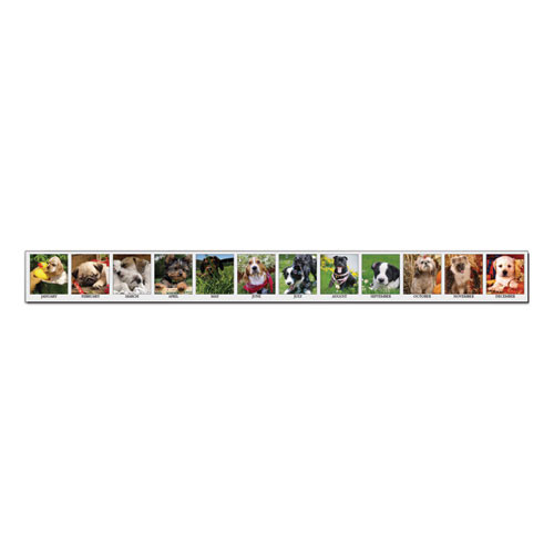 Earthscapes Recycled Desk Tent Monthly Calendar, Puppies Photography, 8.5 X 4.5, White Sheets, 12-month (jan To Dec): 2025 Earthscapes Recycled Desk Tent Monthly Calendar, Puppies Photography, 8.5 X 4.5, White Sheets, 12-month (jan To Dec): 2025