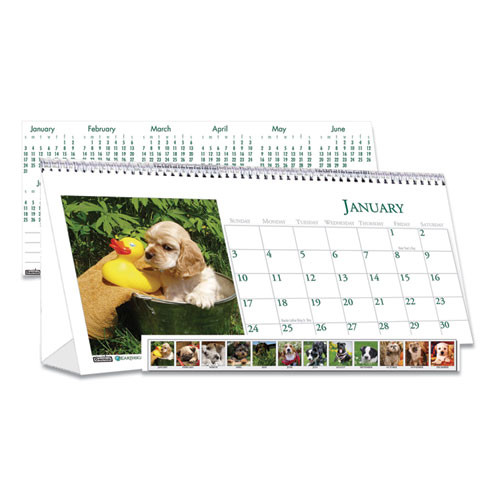 Earthscapes Recycled Desk Tent Monthly Calendar, Puppies Photography, 8.5 X 4.5, White Sheets, 12-month (jan To Dec): 2025 Earthscapes Recycled Desk Tent Monthly Calendar, Puppies Photography, 8.5 X 4.5, White Sheets, 12-month (jan To Dec): 2025