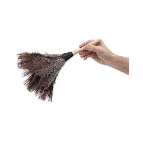 Professional Ostrich Feather Duster, Gray, 14" Length, 6" Handle Professional Ostrich Feather Duster, Gray, 14" Length, 6" Handle