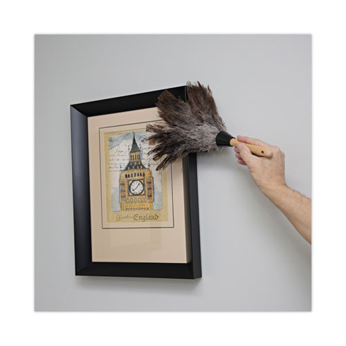 Professional Ostrich Feather Duster, Gray, 14" Length, 6" Handle Professional Ostrich Feather Duster, Gray, 14" Length, 6" Handle
