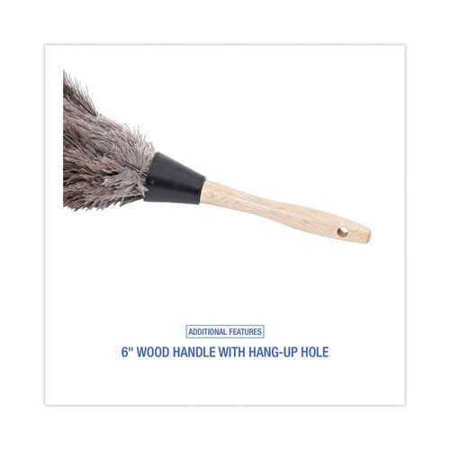 Professional Ostrich Feather Duster, Gray, 14" Length, 6" Handle Professional Ostrich Feather Duster, Gray, 14" Length, 6" Handle