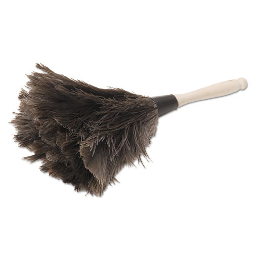 Professional Ostrich Feather Duster, Gray, 14" Length, 6" Handle Professional Ostrich Feather Duster, Gray, 14" Length, 6" Handle
