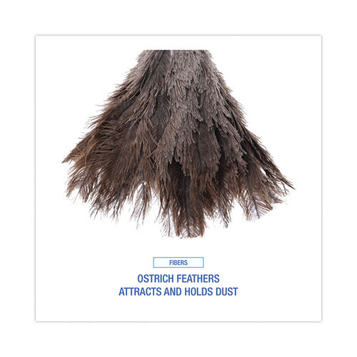 Professional Ostrich Feather Duster, Gray, 14" Length, 6" Handle Professional Ostrich Feather Duster, Gray, 14" Length, 6" Handle