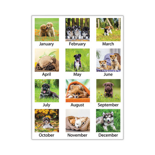 Puppies Monthly Desk Pad Calendar, Puppies Photography, 22 X 17, White Sheets, Clear Corners, 12-month (jan To Dec): 2026 Puppies Monthly Desk Pad Calendar, Puppies Photography, 22 X 17, White Sheets, Clear Corners, 12-month (jan To Dec): 2026
