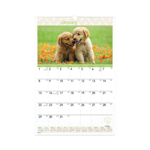 Puppies Monthly Wall Calendar, Puppies Photography, 15.5 X 22.75, White/multicolor Sheets, 12-month (jan To Dec): 2025 Puppies Monthly Wall Calendar, Puppies Photography, 15.5 X 22.75, White/multicolor Sheets, 12-month (jan To Dec): 2025