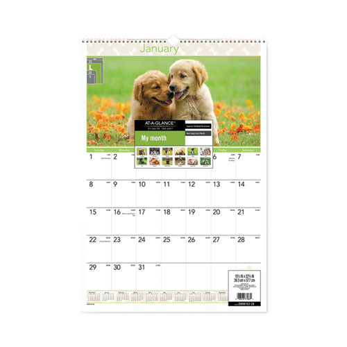 Puppies Monthly Wall Calendar, Puppies Photography, 15.5 X 22.75, White/multicolor Sheets, 12-month (jan To Dec): 2025 Puppies Monthly Wall Calendar, Puppies Photography, 15.5 X 22.75, White/multicolor Sheets, 12-month (jan To Dec): 2025