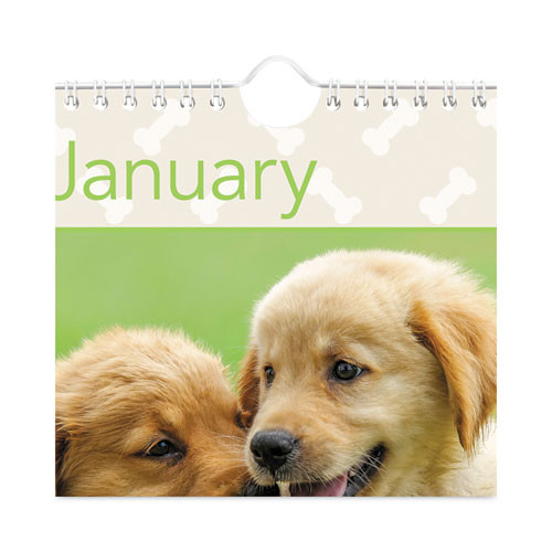 Puppies Monthly Wall Calendar, Puppies Photography, 15.5 X 22.75, White/multicolor Sheets, 12-month (jan To Dec): 2025 Puppies Monthly Wall Calendar, Puppies Photography, 15.5 X 22.75, White/multicolor Sheets, 12-month (jan To Dec): 2025