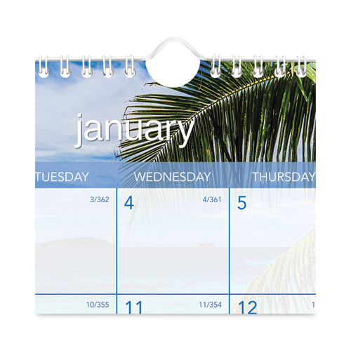 Tropical Escape Wall Calendar, Tropical Escape Photography, 15 X 12, Pale Blue/multicolor Sheets, 12-month (jan To Dec): 2025 Tropical Escape Wall Calendar, Tropical Escape Photography, 15 X 12, Pale Blue/multicolor Sheets, 12-month (jan To Dec): 2025