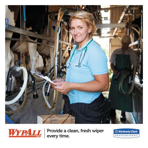 L10 Sani-prep Dairy Towels, Banded, 2-ply, 9.3 X 10.5, 200/pack, 12 Packs/carton L10 Sani-prep Dairy Towels, Banded, 2-ply, 9.3 X 10.5, 200/pack, 12 Packs/carton