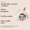 FALL PUMPKIN BUNDLE
