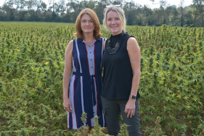 Built on Care: The Journey That Started Twine