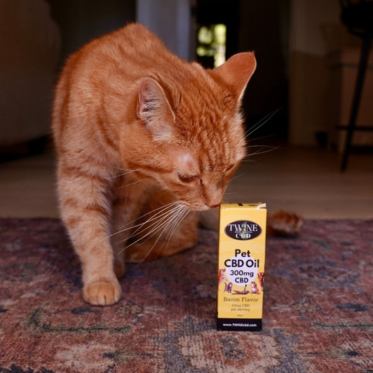 300mg Pet CBD Oil for Dogs or Cats 99% Pure Organic CBD Isolate THC Free 30ml Bottle Bacon