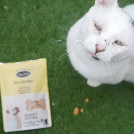 300mg Pet CBD Treats Peanut Butter Flavor for Dogs or Cats 99% Pure Organic CBD Isolate THC Free 30 Count