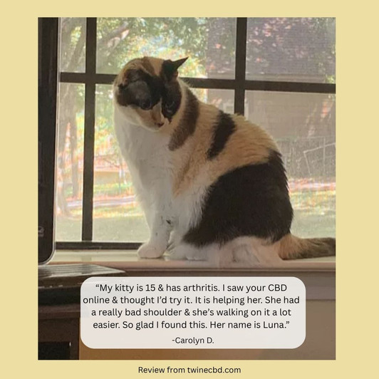 300mg Pet CBD Treats Peanut Butter Flavor for Dogs or Cats 99% Pure Organic CBD Isolate THC Free 30 Count