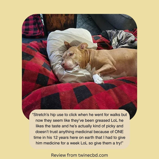 750mg Pet CBD Treats Peanut Butter Flavor for Dogs or Cats 99% Pure Organic CBD Isolate THC Free 30 Count