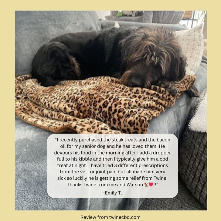 750mg Pet CBD Treats Steak Flavor for Dogs or Cats 99% Pure Organic CBD Isolate THC Free 30 Count