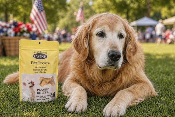 Can CBD Help Your Pet? What Every Pet Parent Should Know About Stress, Anxiety & Mobility