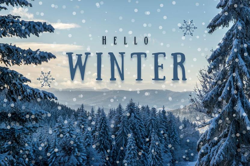 Winter Wellness Tips: Stay Warm, Relaxed, and Healthy with TWINE CBD