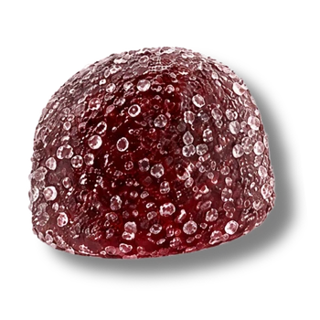 Sleep Gummy