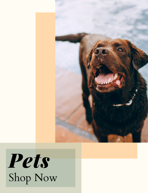 Show CBD Pet Oils and Treats
