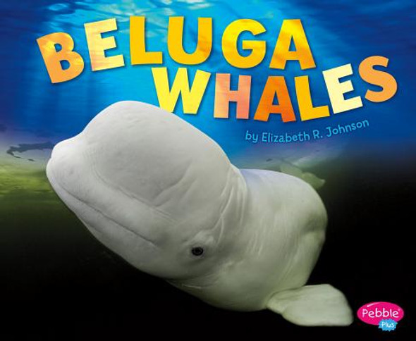 Beluga Whales (Hardcover)
