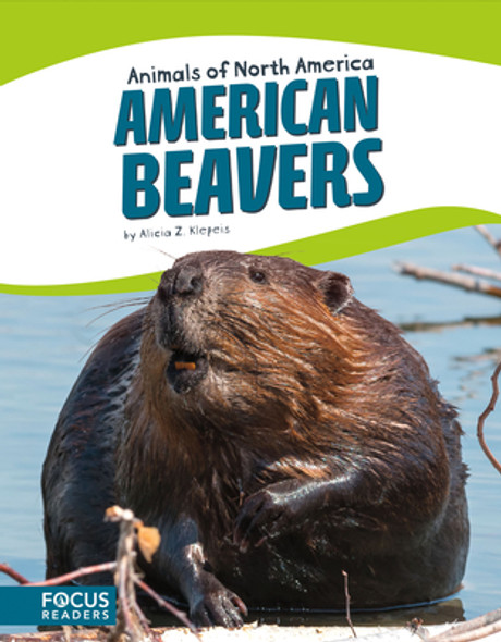 American Beavers (Paperback)