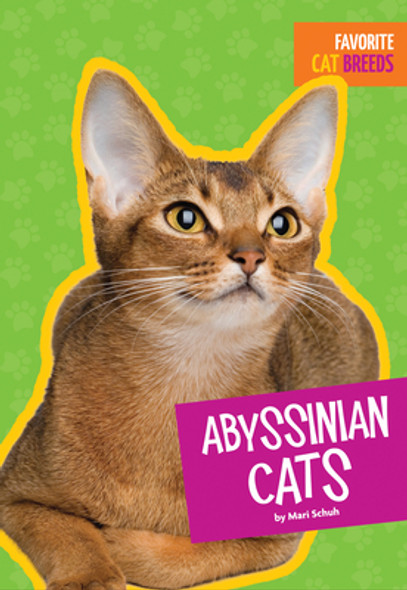 Abyssinian Cats (Paperback)