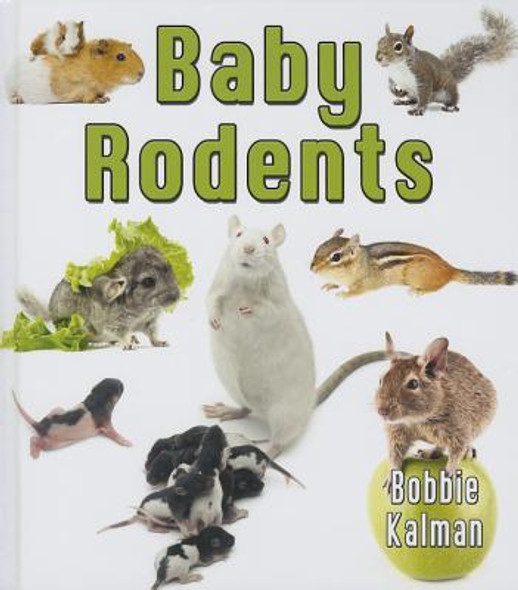 Baby Rodents (Hardcover) Baby Rodents (Hardcover)