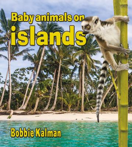Baby Animals on Islands (Library Binding)