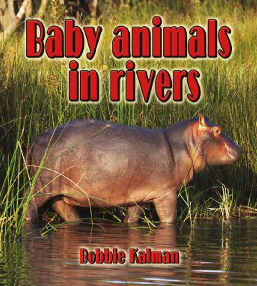 Baby Animals in Rivers (Hardcover)