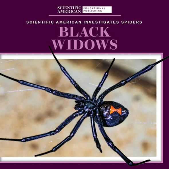 Black Widows (Library Binding)
