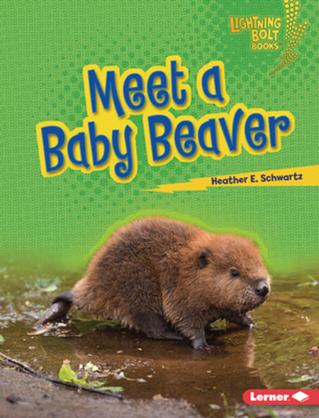 Meet a Baby Beaver (Library Binding) Meet a Baby Beaver (Library Binding)