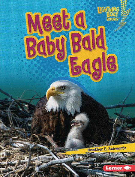 Meet a Baby Bald Eagle (Library Binding)