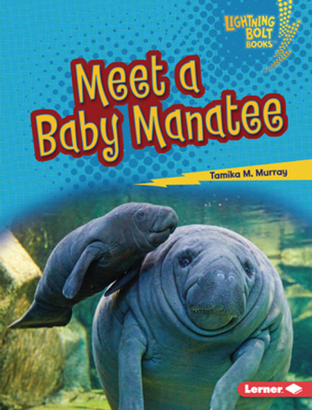 Meet a Baby Manatee (Library Binding)