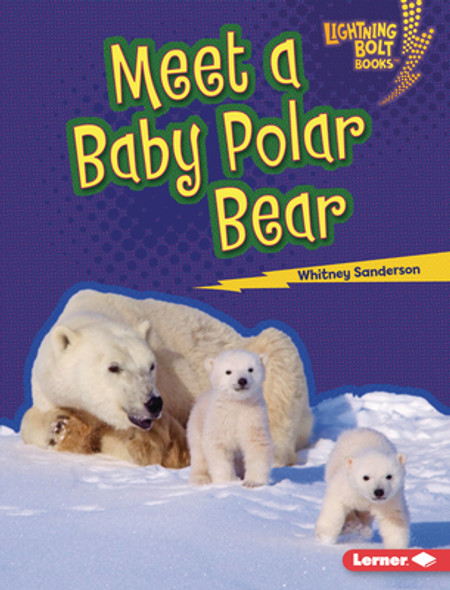 Meet a Baby Polar Bear (Library Binding)