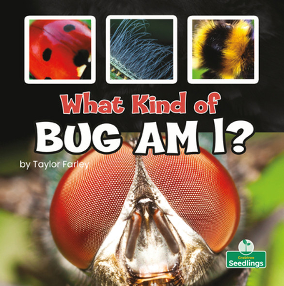 What Kind of Bug Am I? (Paperback)