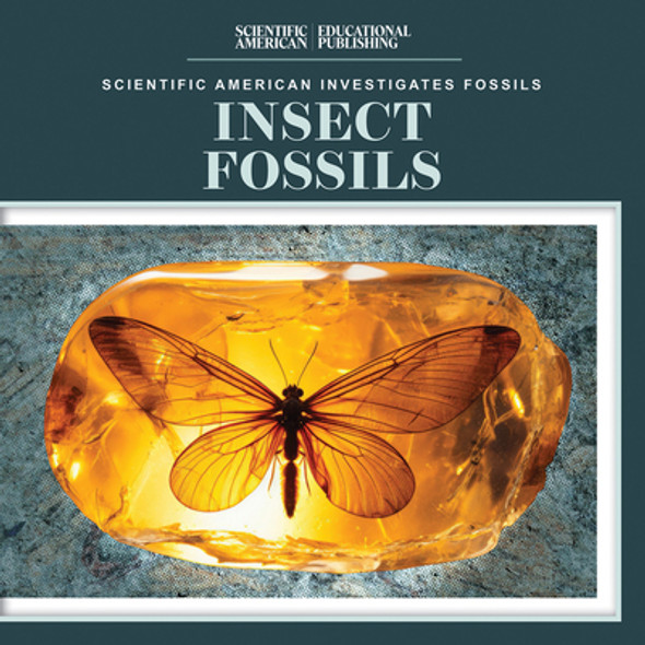 Insect Fossils (Library Binding)
