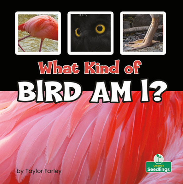 What Kind of Bird Am I? (Library Binding)