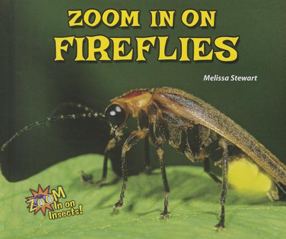 Zoom in on Fireflies (Library Binding)