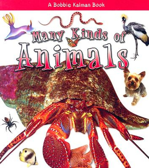 Many Kinds of Animals (Paperback)