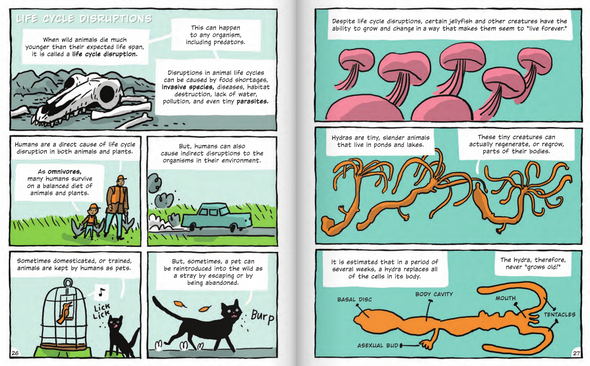 Building Blocks of Animals & Plants: Animal Life Cycles (Hardcover)