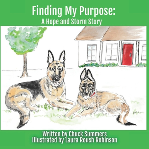 Finding My Purpose: A Hope and Storm Story (Paperback)