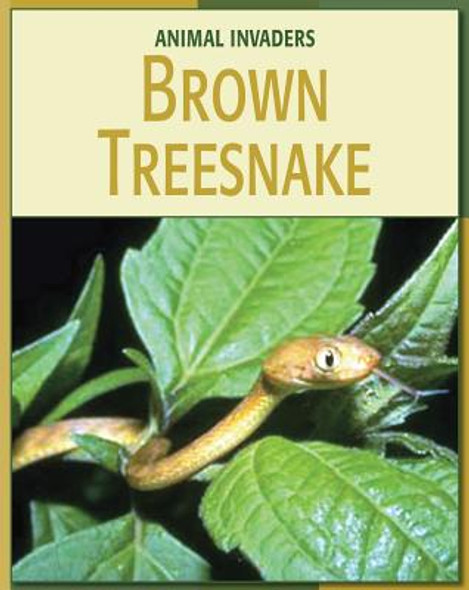 Brown Treesnake (Library Binding)