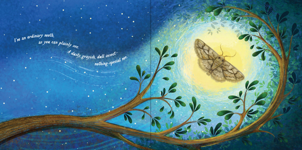 An Extraordinary Ordinary Moth (Hardcover)
