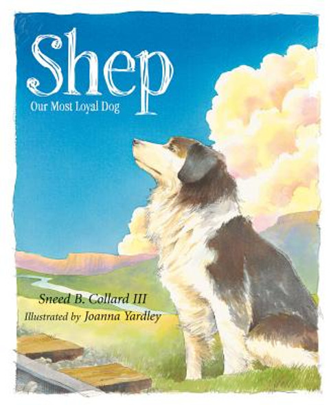 Shep: Our Most Loyal Dog (Hardcover)
